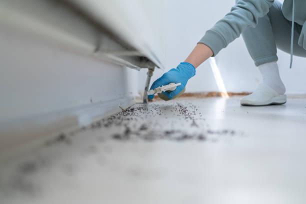 Best Wasp Removal Services  in Glassboro, NJ